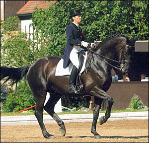 Christilot Boylen, Equestrian
